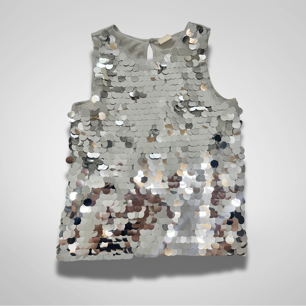 Zara Silver Sequin Top